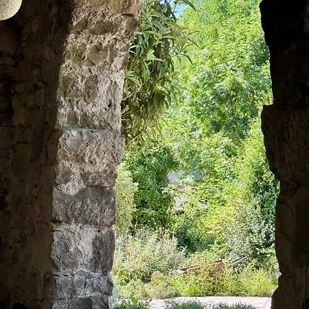 Casa Del Sorriso