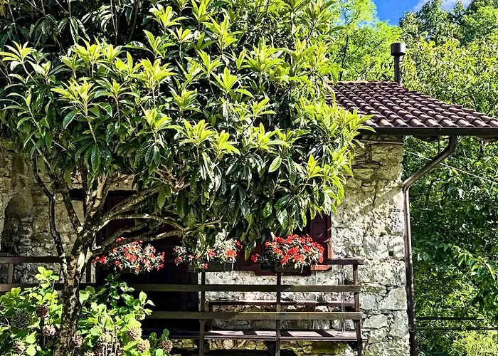 Casa Del Sorriso Costa (Belluno)